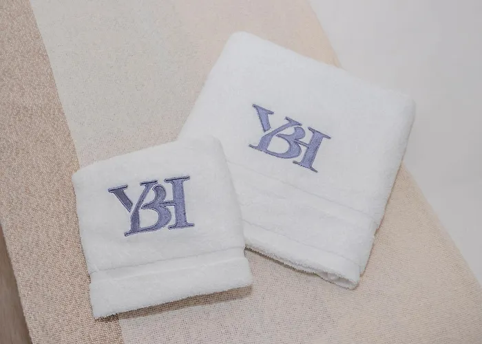 Ybh Joaquin Loriga 29 比戈